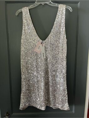 BB Dakota Silver Sequin Tank Dress